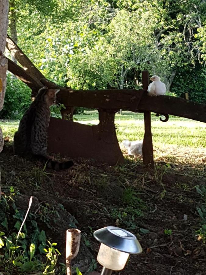 Les 3 Tilleuls Bellac Zewnętrze zdjęcie